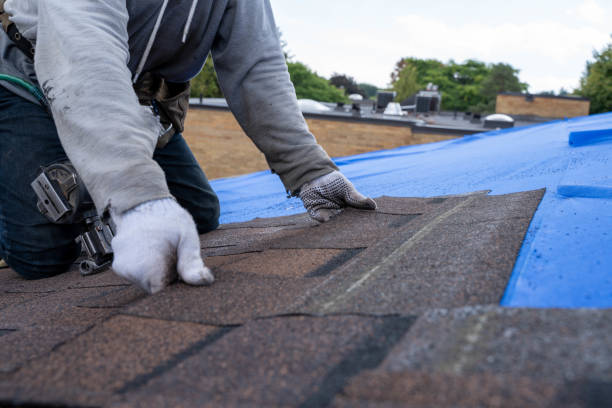 Best Residential Roofing Contractor  in Tice, FL